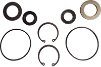 PaceCart 1-2 Pump Seal Kit